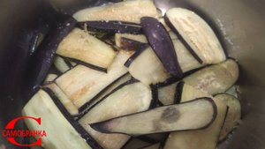 БАКЛАЖАНЫ ЖАРЕННЫЕ С ЧЕСНОКОМ В АВТОКЛАВЕ, ВЫП.17/FRIED EGGPLANTS WITH GARLIC IN AUTOCLAVE, ISSUE 1