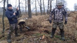 Охота на лису. Охота с ягдтерьерами. Натаска молодых собак.