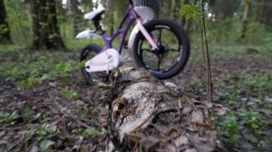 Royal Baby Space Shuttle 18 Purple