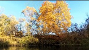 Осень красивое видео.