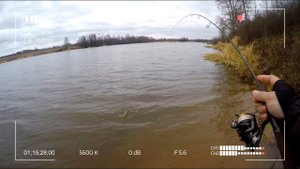 Хазедонг в наноджиге? Легко!