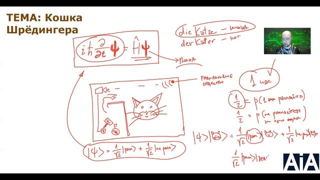 Кто такая кошка Шрёдингера? Душкин объяснит