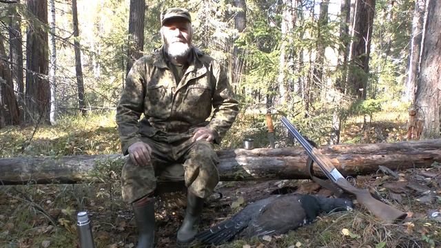 По тайге Урала за глухарем смотреть онлайн