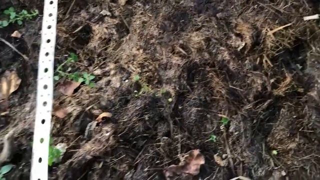 Работы В ОГОРОДЕ осенью, облегчаем летний труд