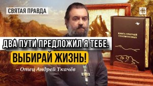 Соломонова мудрость и человеческий выбор — отец Андрей Ткачёв
