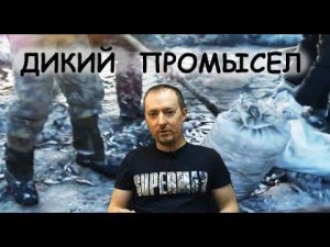 ДЕРЕВЕНСКИЕ БЛОГЕРЫ АДЕКВАТНЫ! ПРЕТЕНЗИЯ В ЛИЧКУ // ВАРВАРСКАЯ РЫБАЛКА // ЗАМОР РЫБЫ