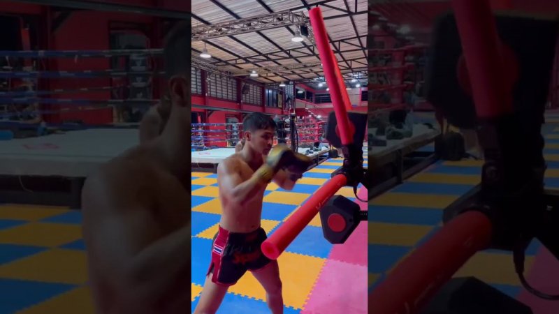 Боксерский ударный робот STRYK #boxing #mma #boxplus #stryk #strykтренажер