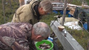 Рыбалка Сургут. Лянтор ЩУКА 1 7 0