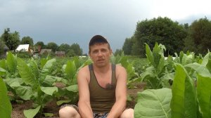 Про посетивший нас ураган, экстремальный огород, стройку и спасающий от засухи колодец!