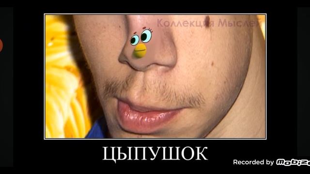 МиМиМишки + ШИЗА =
