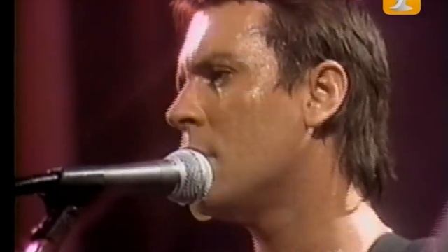 GIT, No Hieras Mi Corazón, Festival de Viña 1987 смотреть онлайн