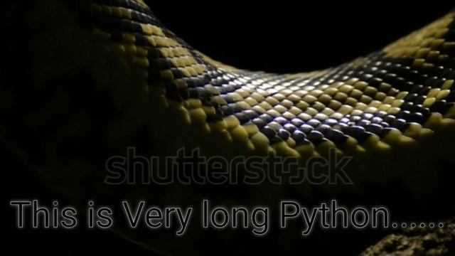 All about Python || All about Python, Boa Contrictor & Anaconda || World's Longest Python ever?