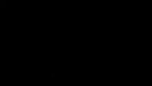 Тайити Оно. Производственная система Тойоты