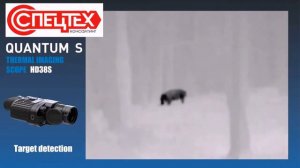 PULSAR HD38S Quantum HUNTING