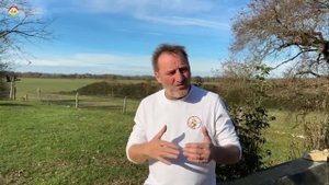 Борьба с азиатским шершнем. Охотник на шершня (сезон 2022)