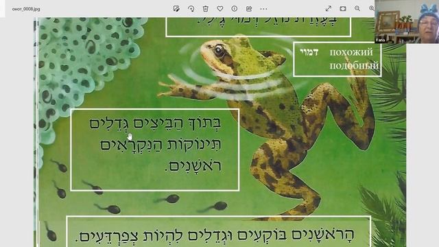 Читаем детские энциклопедии ▶ Чтение на иврите смотреть онлайн