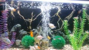 кондиционер для аквариумной воды