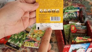 Секрет: как и где КУПИТЬ семена овощей и цветов и не ошибиться