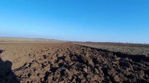 Пахать или дисковать - МТЗ 82.1 и МТЗ 892 . ПЛН 3.35 и БДФ 2.4