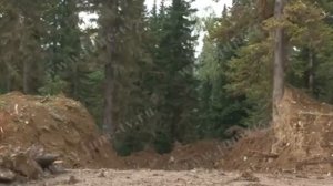 Усинское месторождение марганцевых руд Аман Тулеев против разработки Усинского месторождения марган