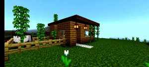 красивый стартовый дом  minecraft