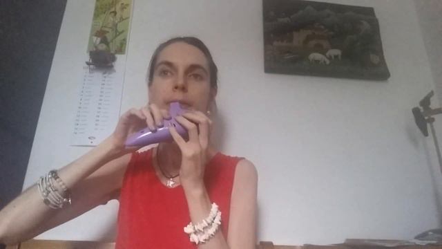 Song of Storms (The Legend of Zelda) - Ocarina смотреть онлайн