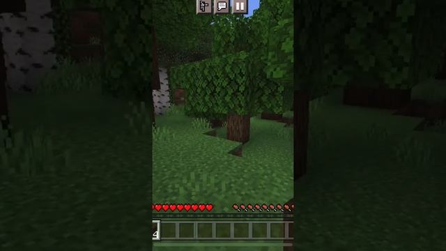 Майнкрафт, НО БЕЗ БУКВЫ Н #minecraft #shorts