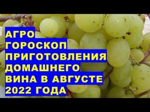 Агрогороскоп приготовления домашнего вина в августе 2022 года