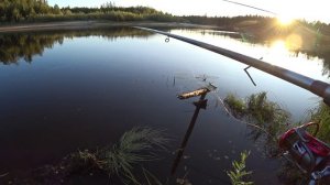 Ночная рыбалка с комфортом!УХА, ЧАЙ, КОСТЁР КАЙФ! Ловим окунь, язь, сорога, ерщ! СИБИРЬ, ТАЙГА, ЛЕС