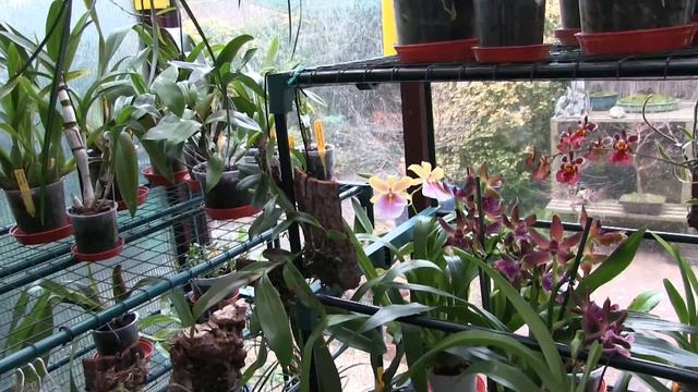 Problem Solved and the Last Time I Mention "It" смотреть онлайн