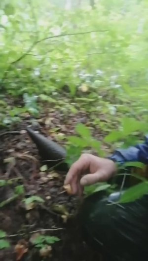 Поход не удался! Нашёл снаряд! Эхо войны!