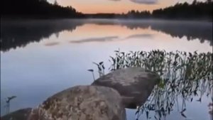 Где то плачет иволга ....