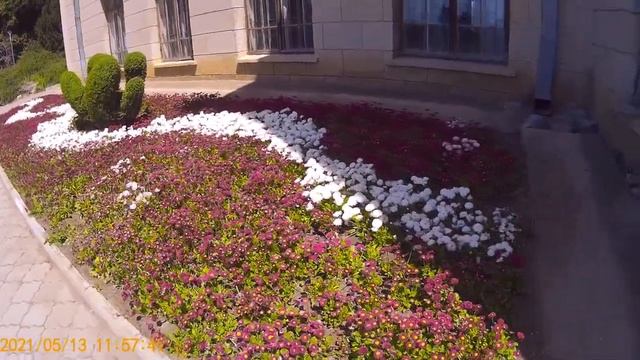 Никитский Ботанический Сад. Большая Ялта. (часть 2). (1).mp4