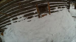 Простой способ утеплить сарай зимой / Жизнь в деревне