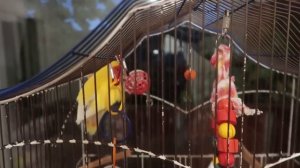 VLOG Викины покупочки. С Назаром в поликлинику