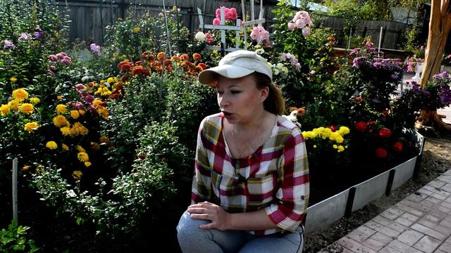 Чем подкормить в сентябре! Чем подкормить цветы, подкормки для плодовых, чем подкормить розы
