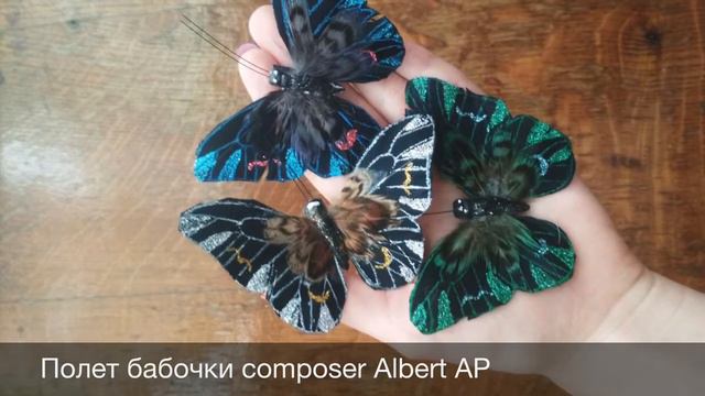 Полет бабочки composer Albert AP