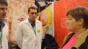 Индюки. Советы по разведению с Выставки Золотая Осень 2016.