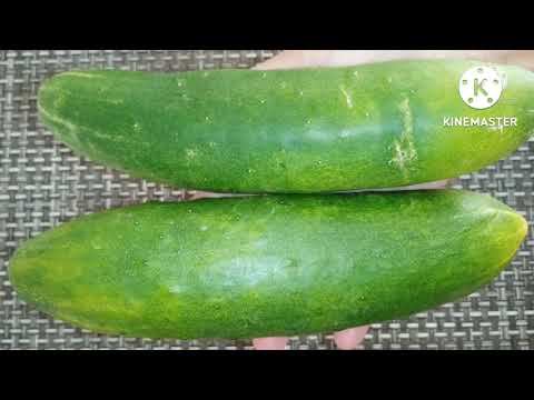Вот что я делаю с ПЕРЕЗРЕВШИМИ ОГУРЦАМИ.