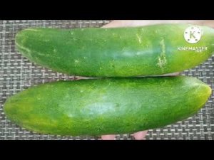 Вот что я делаю с ПЕРЕЗРЕВШИМИ ОГУРЦАМИ.