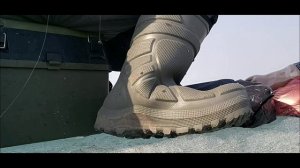 Сорога весной.