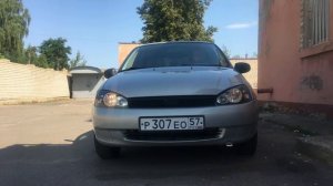 Ангельские глазки Калина