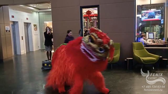 Китайский лев на мероприятие и встречу гостей в Москве - заказать китайское шоу на праздник
