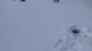 Самодельная мотособака ,первый выезд на рыбалку 9 л.с.