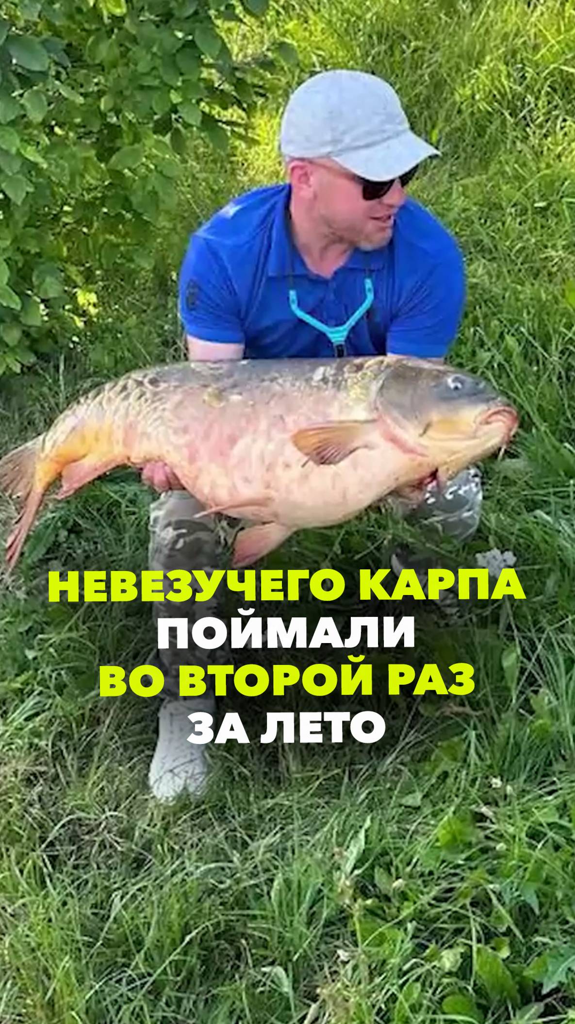 Карпа с «авторитетом» поймали во второй раз в Чертановском пруду. Он весит целых 17 кг!