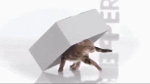 (2015) PERFECT FIT ACTIVE - результат или деньги