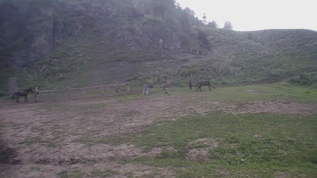 Начальная объездка дикой лошади смотреть онлайн