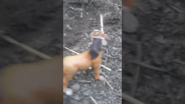 Моя самодельная конюшня из подручных средств 3 Арабский скакун смотреть онлайн