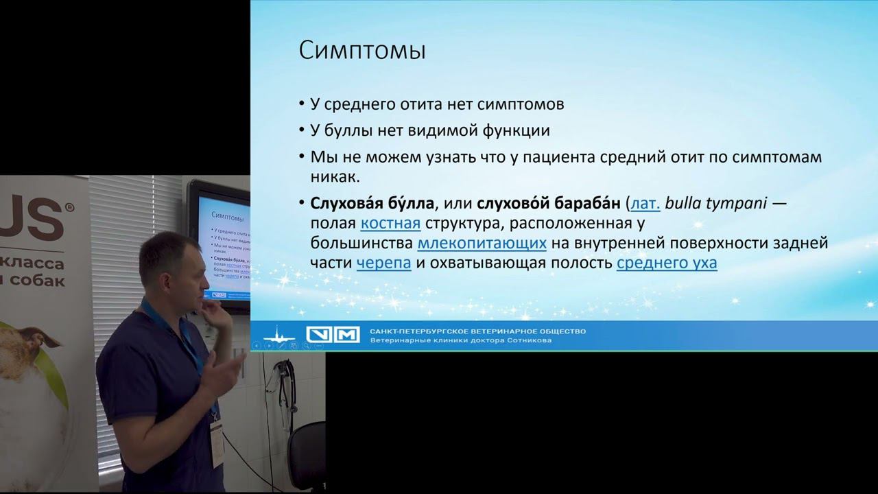 Отиты у кошек и собак Ставропольский университет