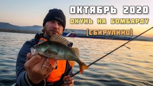 Окунь на бомбарду ( сбирулино) на Волге с лодки в Тольятти, рыбалка в октябре 2020.mp4